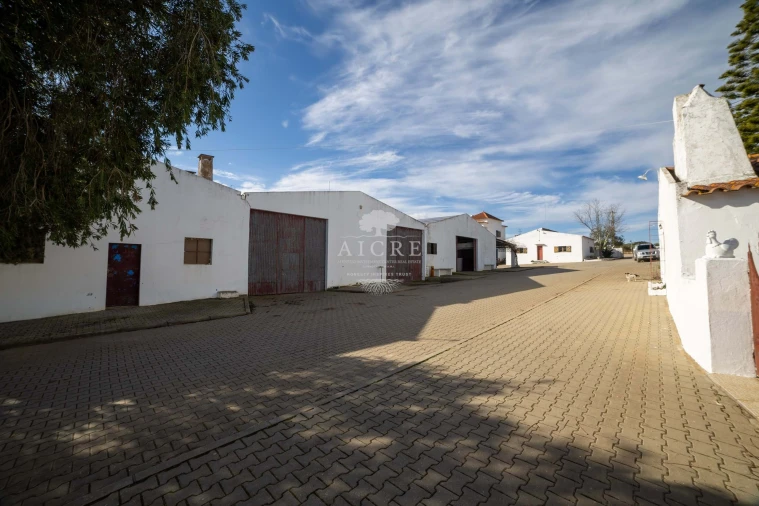 Quinta T12 para Venda em Malagueira e Horta das Figueiras Foto 13