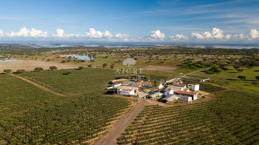 Quinta T12 para Venda em Malagueira e Horta das Figueiras Foto 97