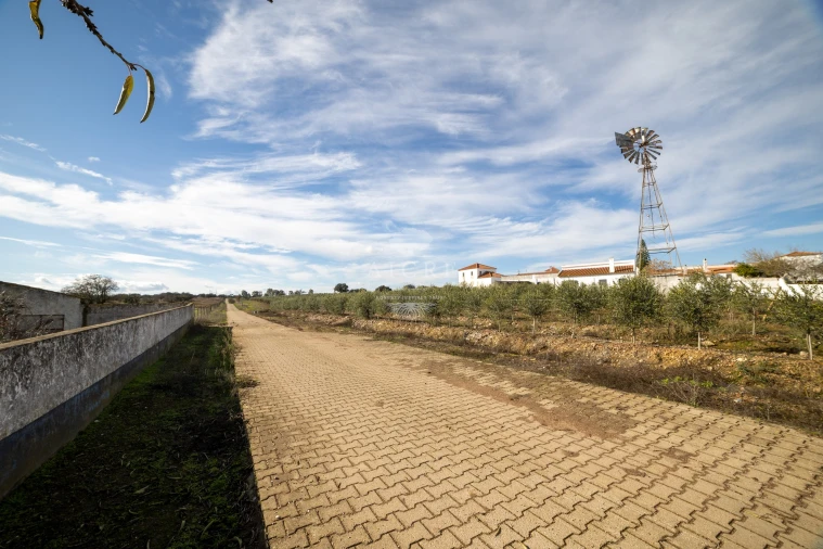 Quinta T12 para Venda em Malagueira e Horta das Figueiras Foto 19