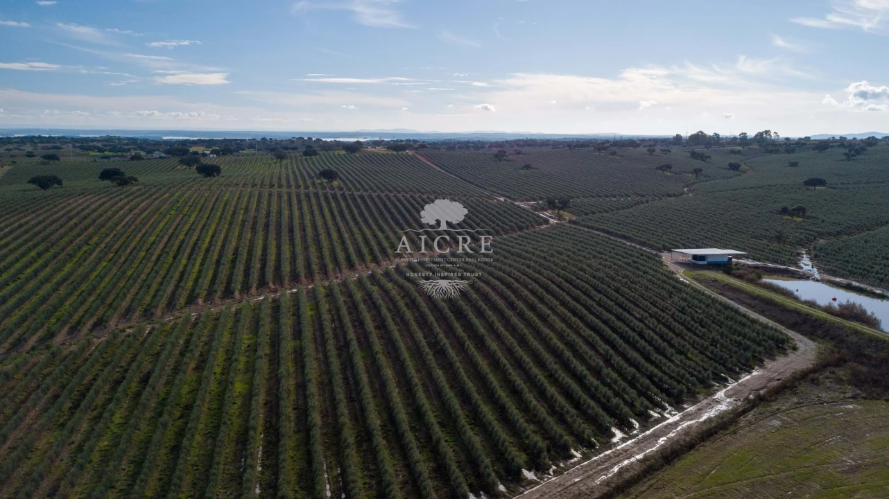 Quinta T12 para Venda em Malagueira e Horta das Figueiras Foto 5