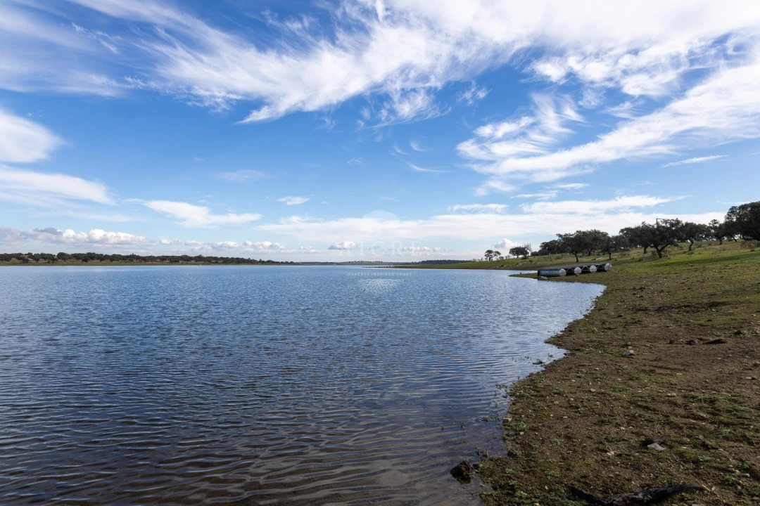Quinta T12 para Venda em Malagueira e Horta das Figueiras Foto 29