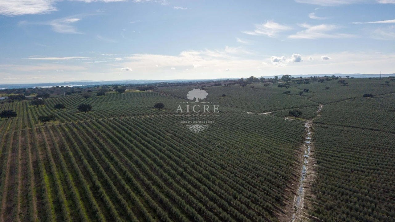 Quinta T12 para Venda em Malagueira e Horta das Figueiras Foto 7