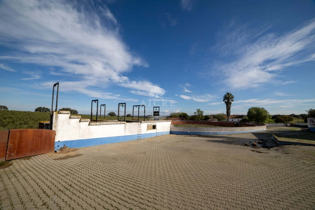 Quinta T12 para Venda em Malagueira e Horta das Figueiras Foto 24