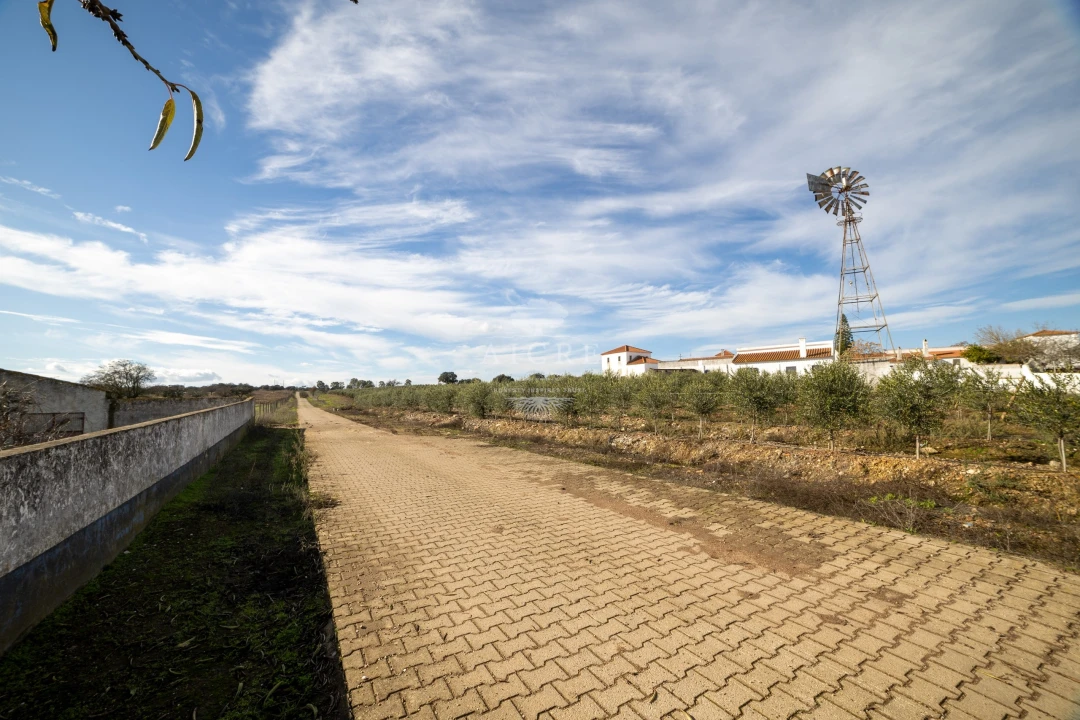 Quinta T12 para Venda em Malagueira e Horta das Figueiras Foto 19