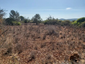 Terreno para Venda em Loule (São Clemente)