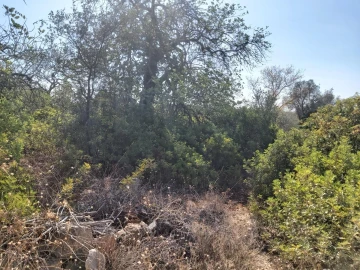 Terreno para Venda em Loule (São Clemente)