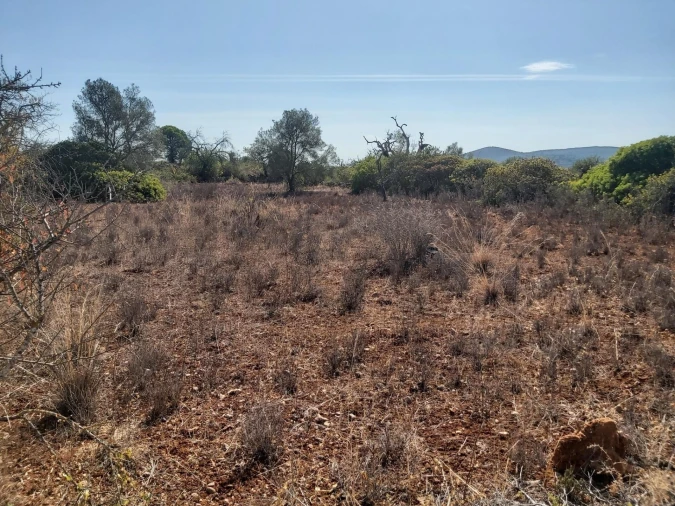 Terreno para Venda em Loule (São Clemente) Foto 3