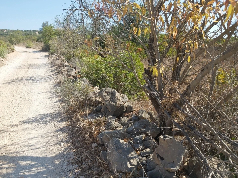 Terreno para Venda em Loule (São Clemente) Foto 7