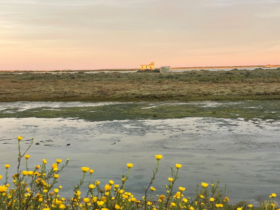 Moradia T3 para Venda em Olhão Foto 21