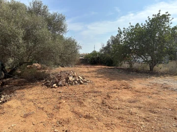 Terreno para Venda em Almancil