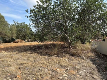 Terreno para Venda em Almancil