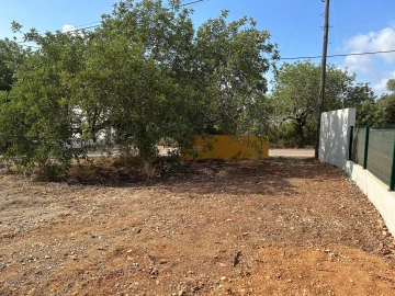 Terreno para Venda em Almancil
