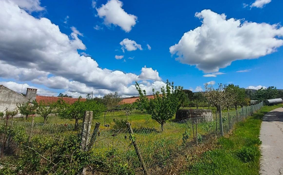 Terreno para Venda em Aljubarrota Foto 27