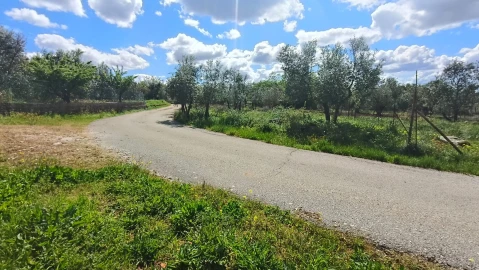 Terreno para Venda em Aljubarrota