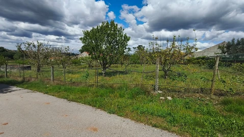 Terreno para Venda em Aljubarrota