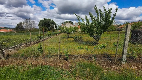 Terreno para Venda em Aljubarrota