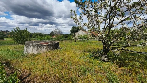 Terreno para Venda em Aljubarrota