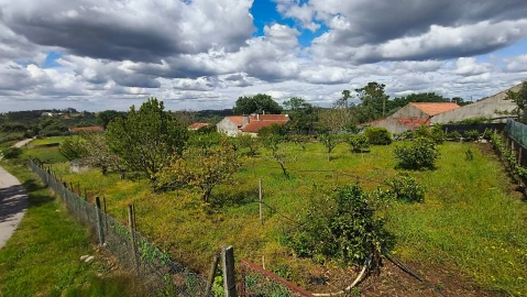 Terreno para Venda em Aljubarrota
