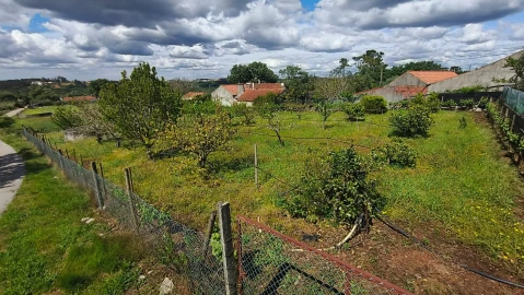 Terreno para Venda em Aljubarrota