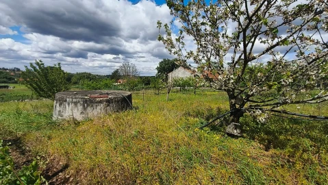 Terreno para Venda em Aljubarrota