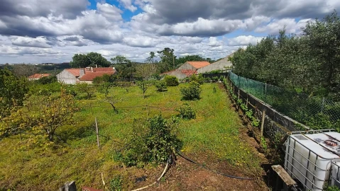 Terreno para Venda em Aljubarrota