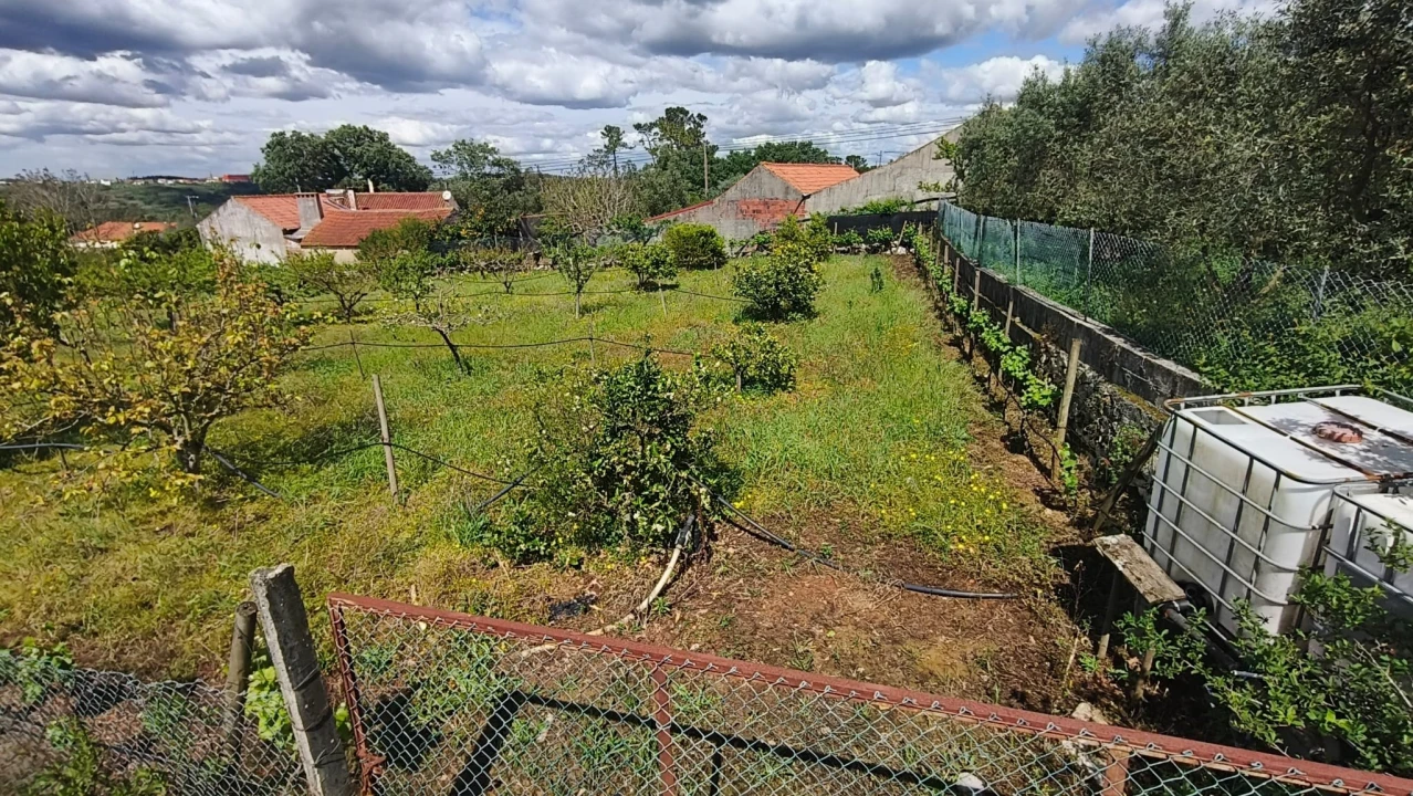 Terreno para Venda em Aljubarrota Foto 7