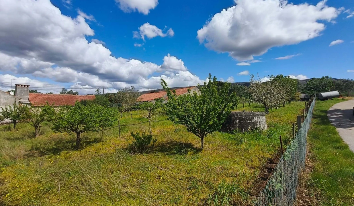 Terreno para Venda em Aljubarrota Foto 11