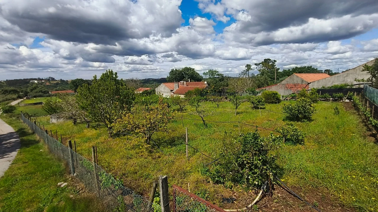 Terreno para Venda em Aljubarrota Foto 6