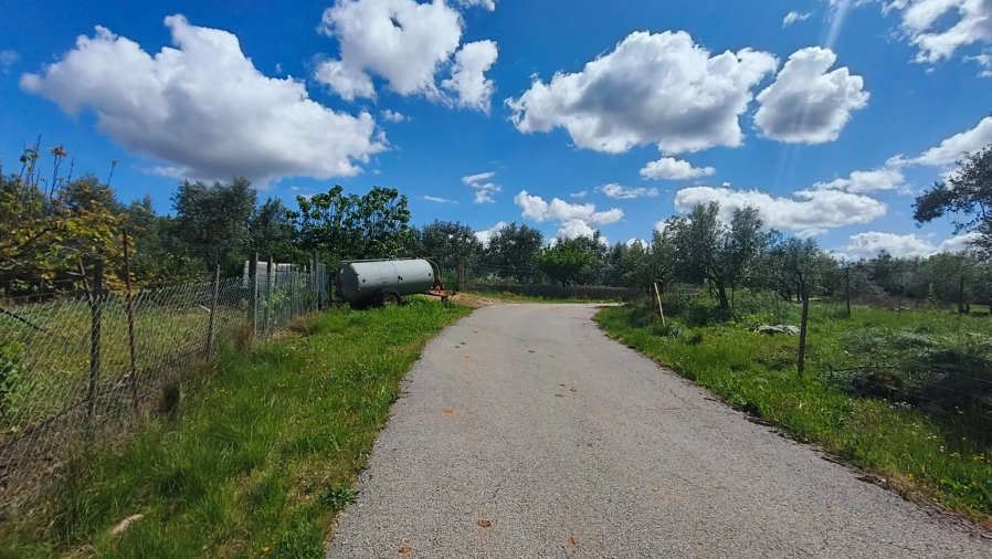 Terreno para Venda em Aljubarrota Foto 33