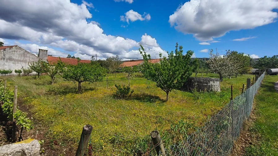 Terreno para Venda em Aljubarrota Foto 32