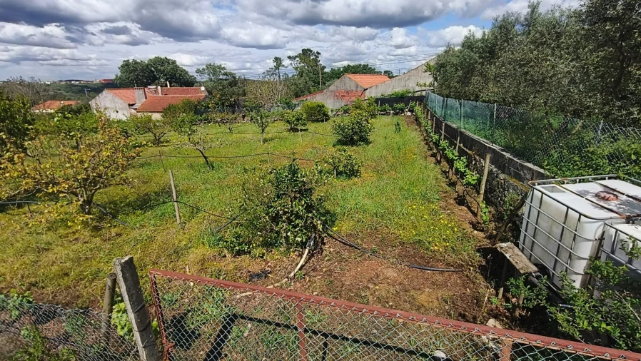 Terreno para Venda em Aljubarrota Foto 7