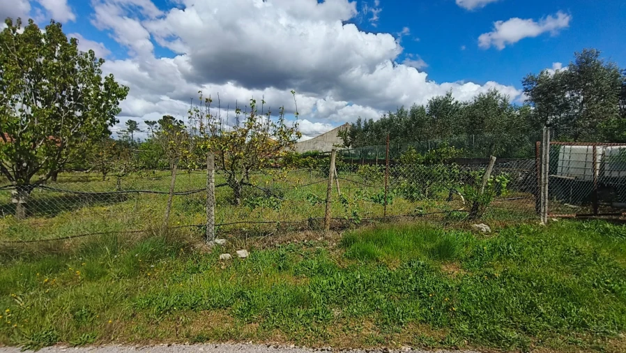 Terreno para Venda em Aljubarrota Foto 30