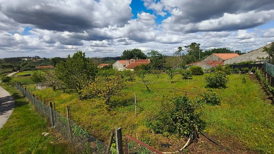 Terreno para Venda em Aljubarrota Foto 6