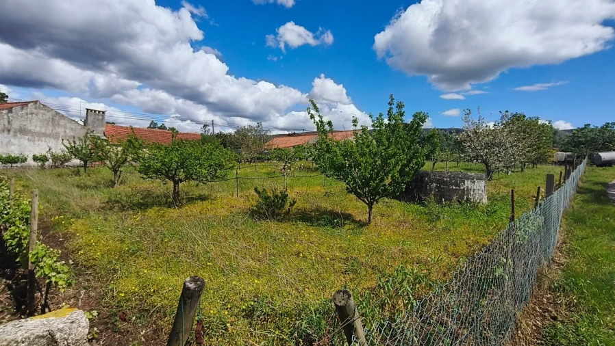 Terreno para Venda em Aljubarrota Foto 16