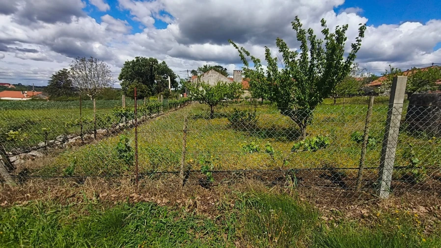 Terreno para Venda em Aljubarrota Foto 9