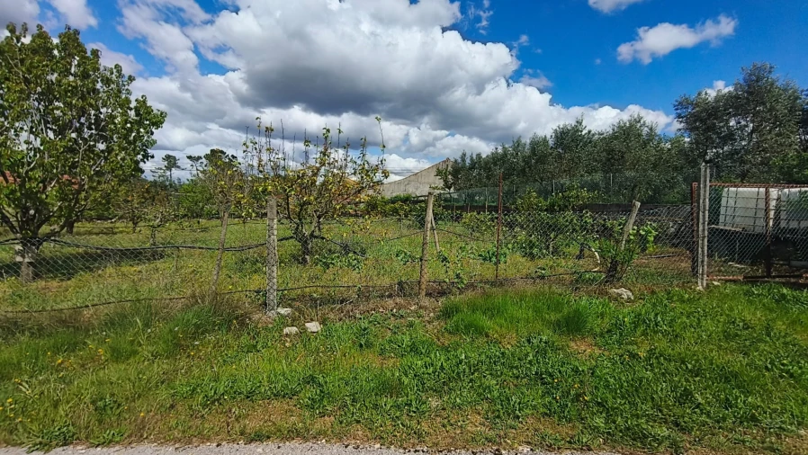 Terreno para Venda em Aljubarrota Foto 14
