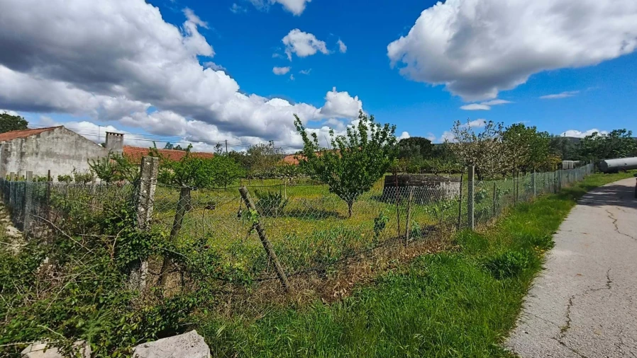 Terreno para Venda em Aljubarrota Foto 12
