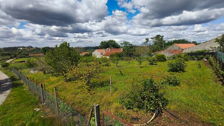 Terreno para Venda em Aljubarrota Foto 23