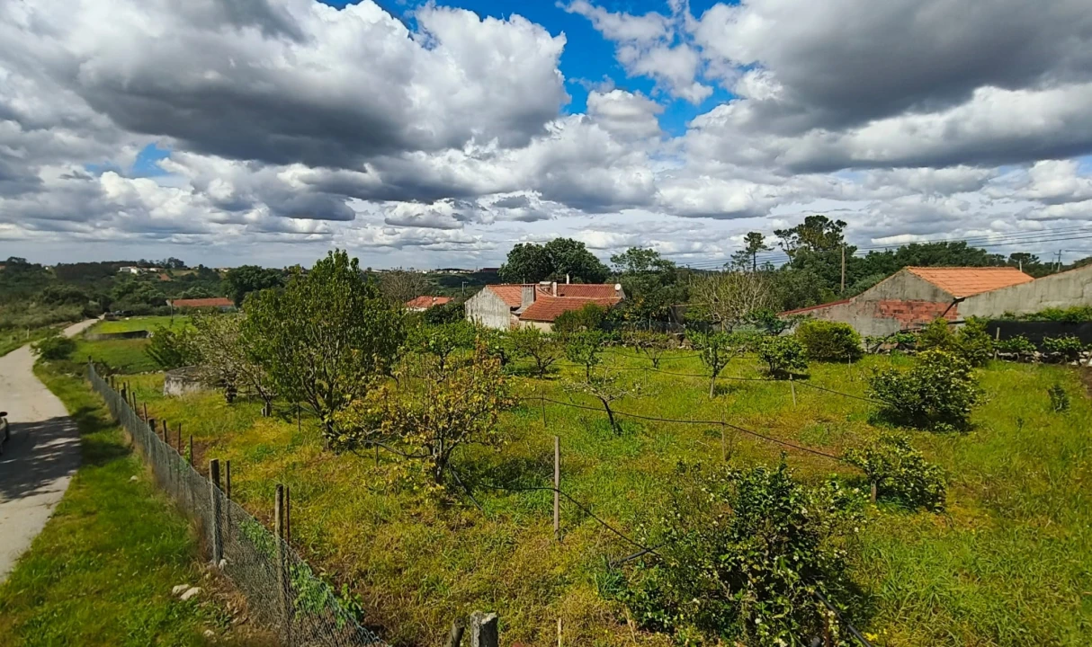 Terreno para Venda em Aljubarrota Foto 5