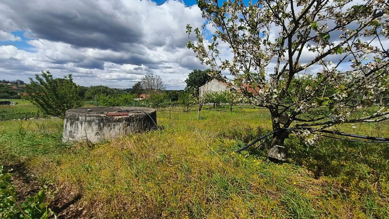 Terreno para Venda em Aljubarrota Foto 13