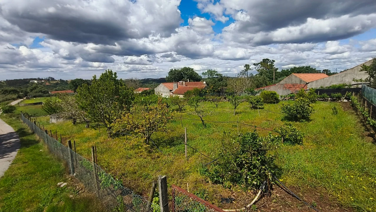 Terreno para Venda em Aljubarrota Foto 23