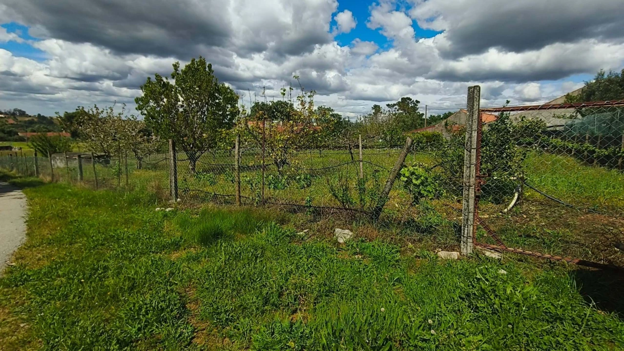 Terreno para Venda em Aljubarrota Foto 19