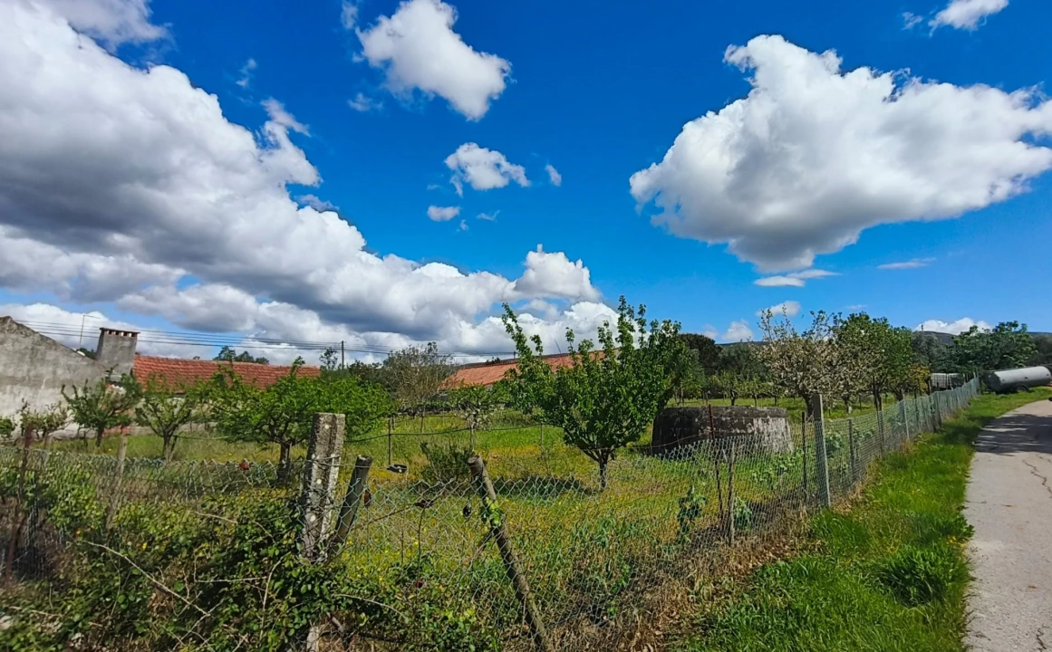 Terreno para Venda em Aljubarrota Foto 10