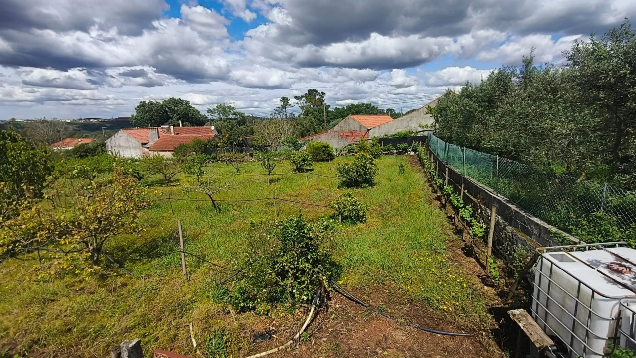Terreno para Venda em Aljubarrota Foto 4