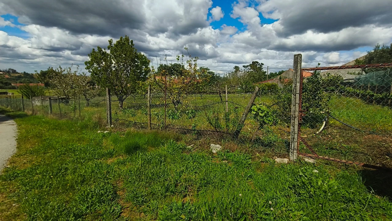 Terreno para Venda em Aljubarrota Foto 34