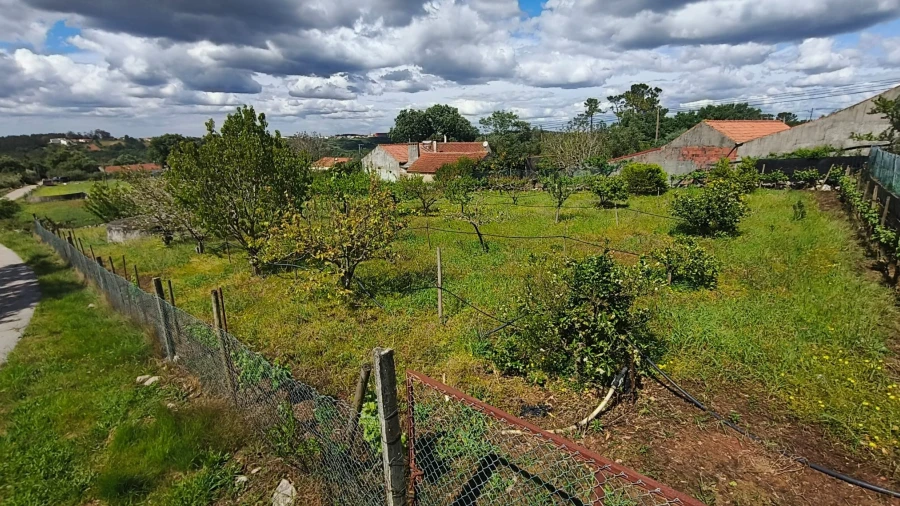 Terreno para Venda em Aljubarrota
