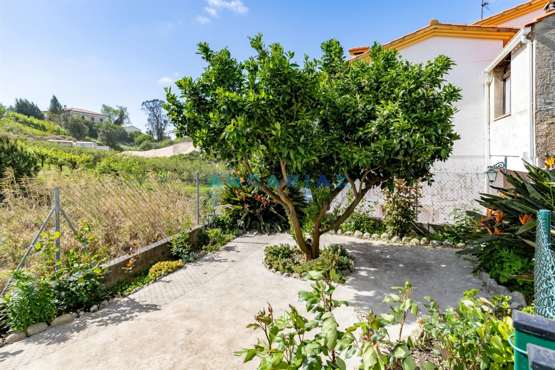 Apartamento T2 para Venda em Batalha Foto 20