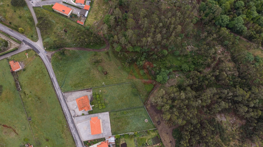 Terreno para Venda em Monte Córdova Foto 8