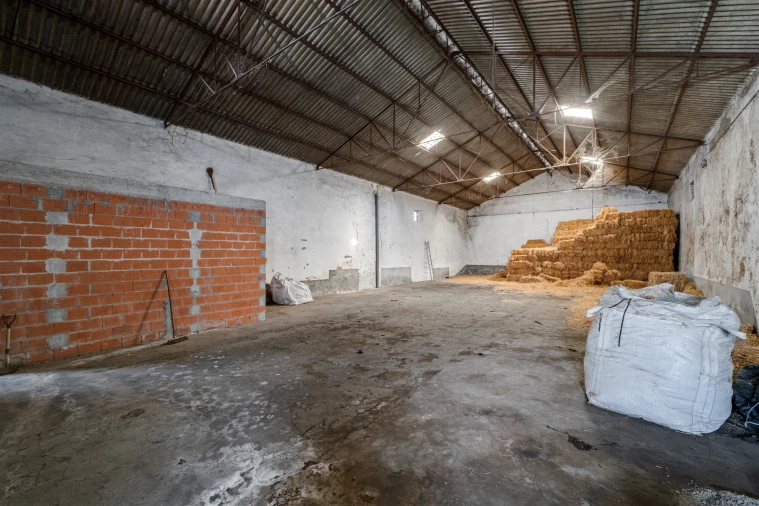 Armazém para Venda em São Manços e São Vicente do Pigeiro Foto 16