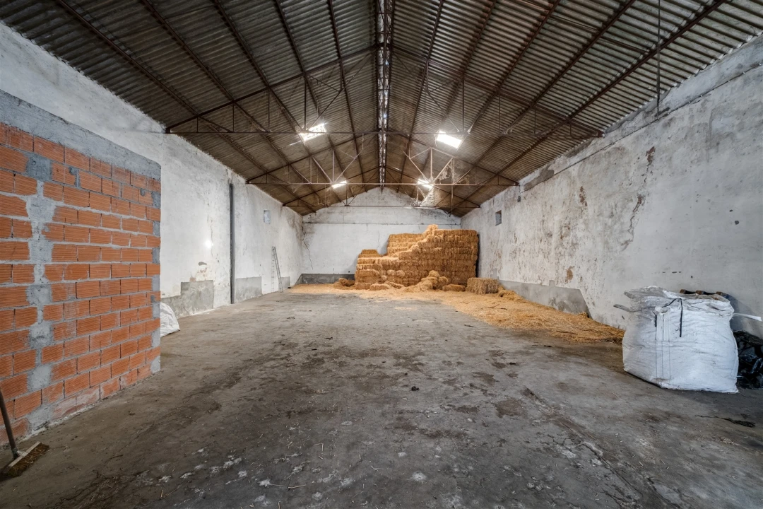 Armazém para Venda em São Manços e São Vicente do Pigeiro Foto 14